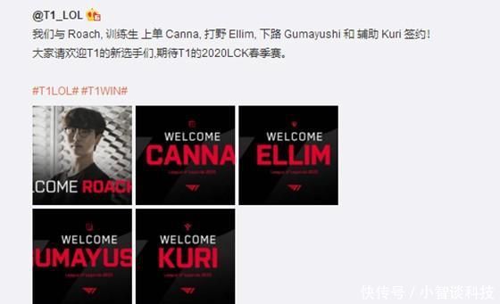 公司的参与 公司的参与